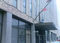 Enlarged view of image