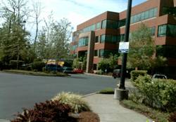 Enlarged view of image