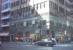 Enlarged view of image