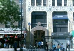 Enlarged view of image