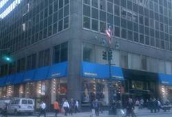 Enlarged view of image