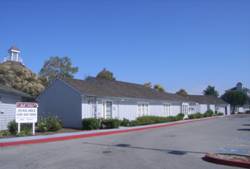 Enlarged view of image