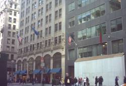 Enlarged view of image