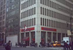 Enlarged view of image