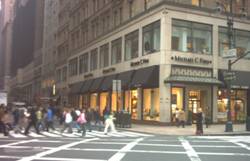 Enlarged view of image