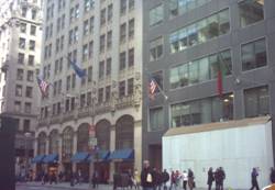 Enlarged view of image