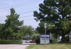 Enlarged view of image