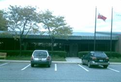 Enlarged view of image