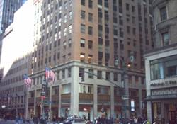 Enlarged view of image