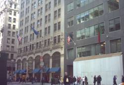 Enlarged view of image