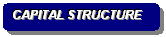 Rounded Rectangle: CAPITAL STRUCTURE