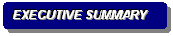Rounded Rectangle: EXECUTIVE SUMMARY