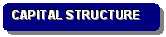 Rounded Rectangle: CAPITAL STRUCTURE