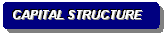 Rounded Rectangle: CAPITAL STRUCTURE