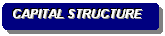 Rounded Rectangle: CAPITAL STRUCTURE