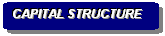 Rounded Rectangle: CAPITAL STRUCTURE