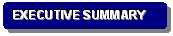 Rounded Rectangle: EXECUTIVE SUMMARY