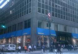 Enlarged view of image