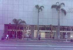 Enlarged view of image