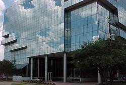 Enlarged view of image