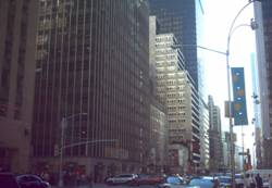 Enlarged view of image