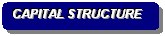 Rounded Rectangle: CAPITAL STRUCTURE