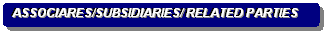 Rounded Rectangle: ASSOCIARES/SUBSIDIARIES/ RELATED PARTIES 
