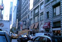 Enlarged view of image