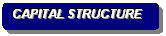 Rounded Rectangle: CAPITAL STRUCTURE