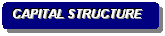 Rounded Rectangle: CAPITAL STRUCTURE