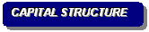 Rounded Rectangle: CAPITAL STRUCTURE