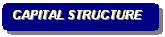 Rounded Rectangle: CAPITAL STRUCTURE