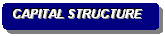 Rounded Rectangle: CAPITAL STRUCTURE