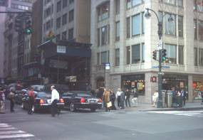 Enlarged view of image