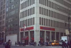 Enlarged view of image