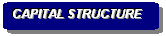 Rounded Rectangle: CAPITAL STRUCTURE