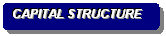 Rounded Rectangle: CAPITAL STRUCTURE