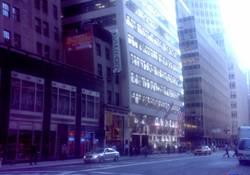 Enlarged view of image