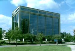 Enlarged view of image