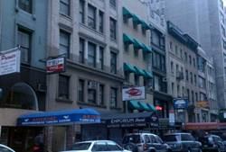 Enlarged view of image