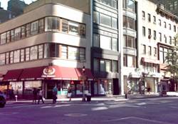 Enlarged view of image