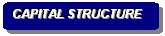 Rounded Rectangle: CAPITAL STRUCTURE