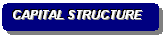 Rounded Rectangle: CAPITAL STRUCTURE