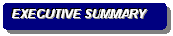 Rounded Rectangle: EXECUTIVE SUMMARY