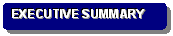 Rounded Rectangle: EXECUTIVE SUMMARY