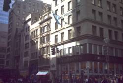 Enlarged view of image