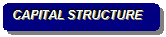 Rounded Rectangle: CAPITAL STRUCTURE