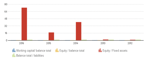 Description: http://kredietinformatie.creditdevice.nl/cache/ci-report-1234657-EN/KEYFIGURES-01-bar-large.png