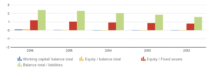 Description: http://kredietinformatie.creditdevice.nl/cache/ci-report-1272193-EN/KEYFIGURES-01-bar-large.png