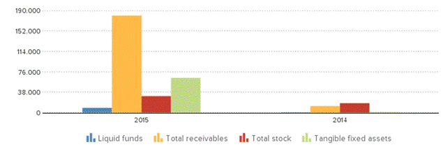 Description: http://kredietinformatie.creditdevice.nl/cache/ci-report-1284063-EN/BALANCESHEETS-01-bar-large.png
